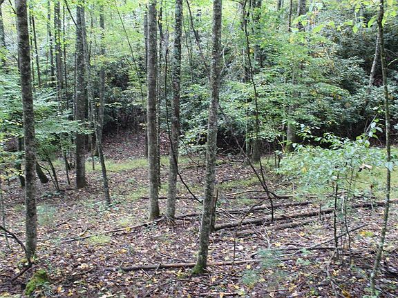 4th image of 0 Marion Rd