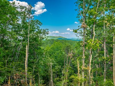 0 Clearview Dr LOT 1, Ringgold, GA, 30736