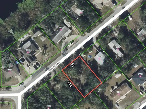 12338 Terra Ceia Ave Lot 18, New Pt Richey, FL 34654