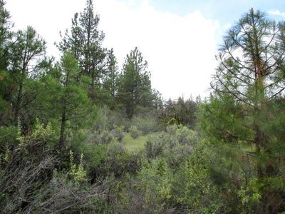 Partin Dr #5, Beatty, OR, 97621