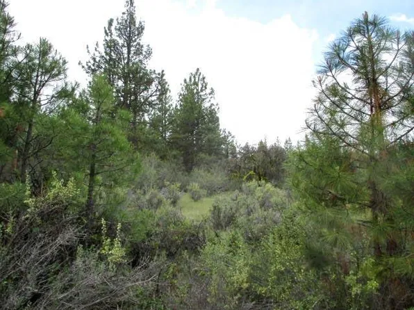 Partin Dr #5, Beatty, OR 97621