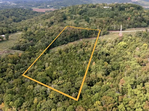 0 Horseshoe Bend Ln Lot 24, Elmwood, TN 38560