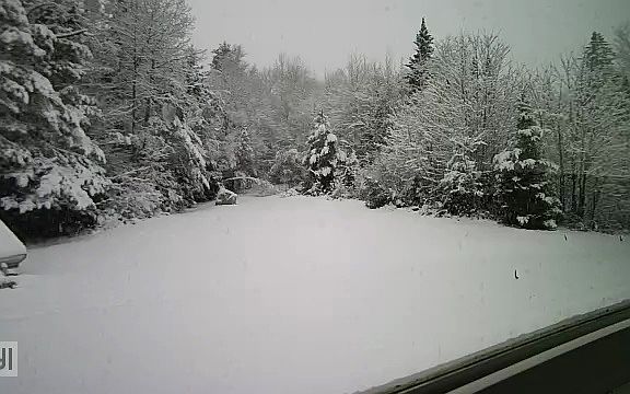 Snowshoe out your back door