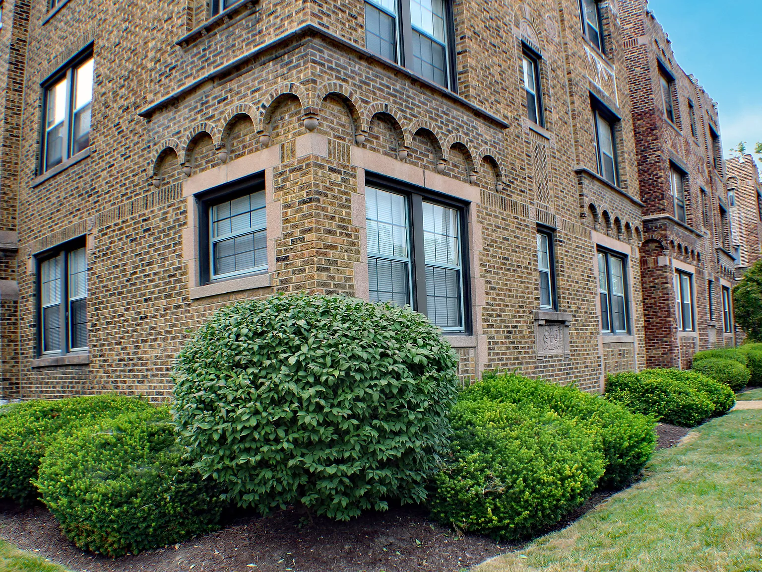 Forest View Apts. — Photo 2
