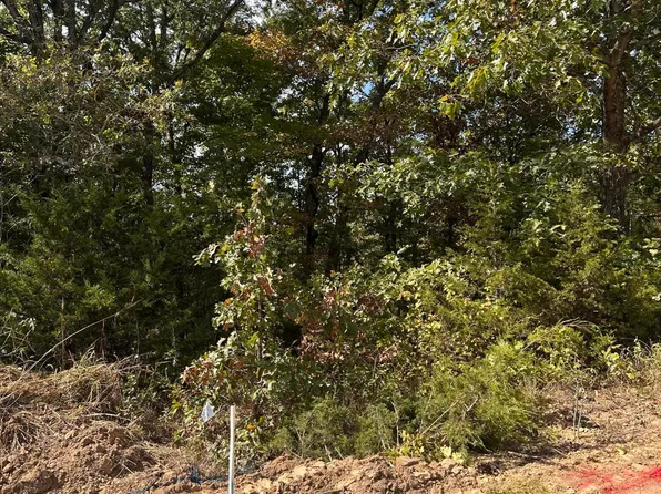 LOT 37 Sterling Ridge Dr, Holts Summit, MO 65043