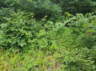 Buchanan Rd, Waverly, OH 45690