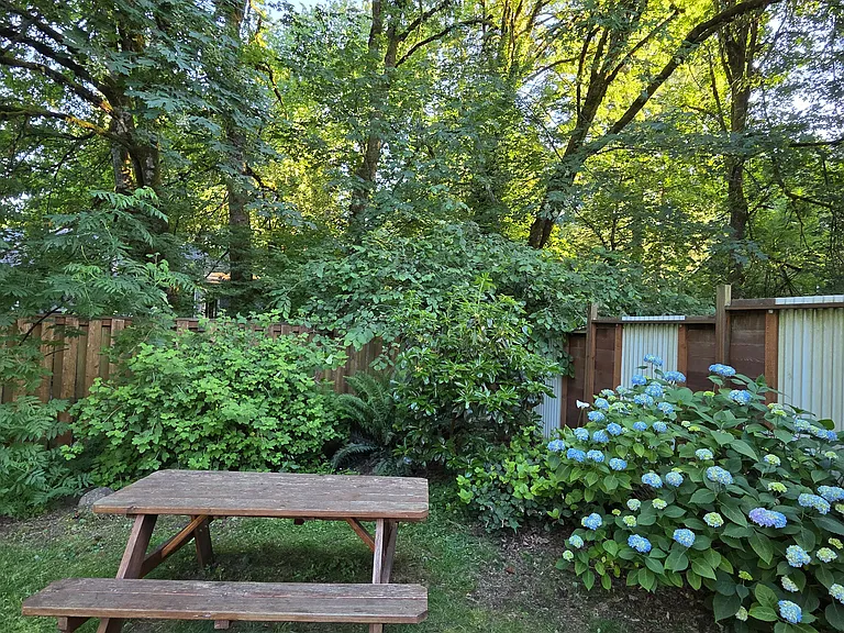 Backyard picnic table
