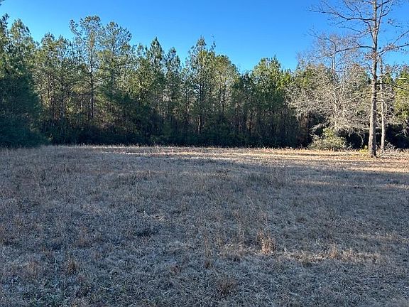 2nd image of 0 Buddy Lake Rd