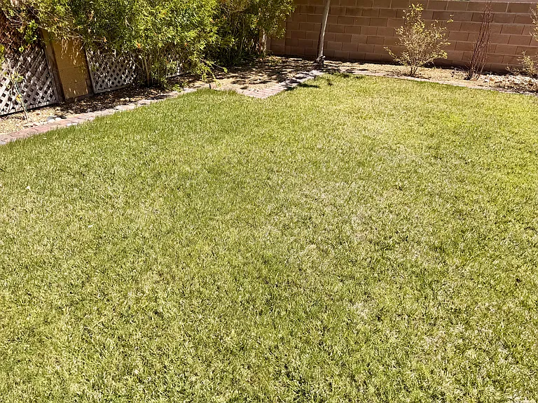 Grass area.
