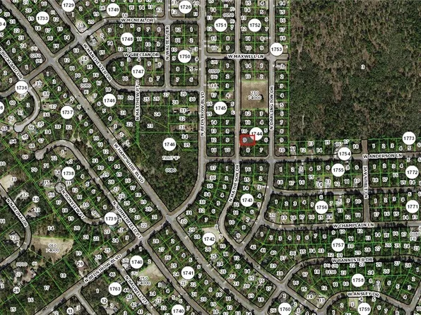 6003 N Matheson Dr, Citrus Springs, FL 34434