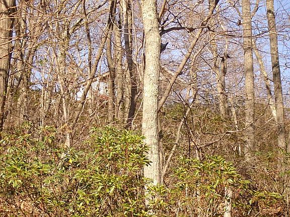 3rd image of Plat 28 Archwood Trl Lot 339