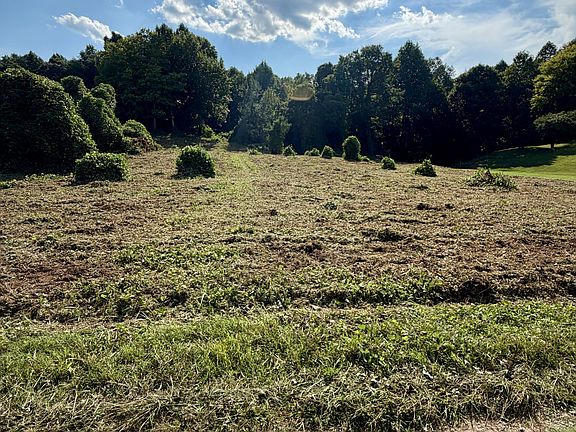 4th image of 140 Scenic View Ln