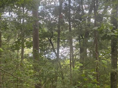 Bennett Rd, Amberg, WI, 54102