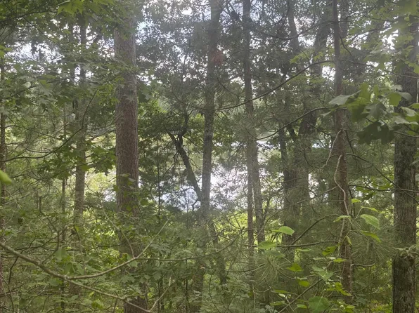 Bennett Rd, Amberg, WI 54102