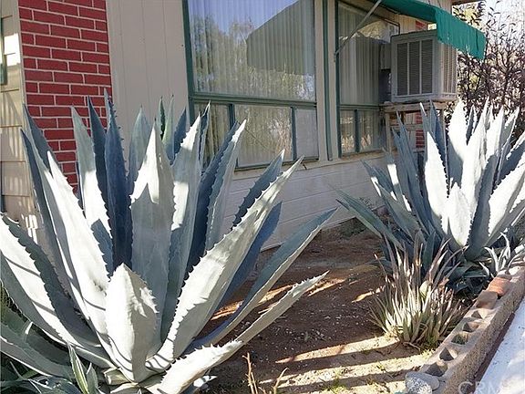 Gorgeous matured plants and bushes around the house.