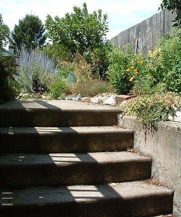 Steps down to basement, in back yard.