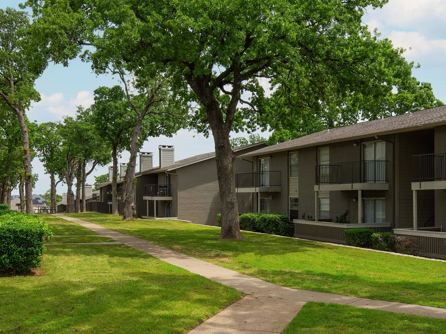 Oak Park — Photo 1