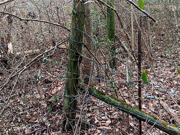 4th image of 0 State Highway 19