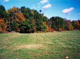 0 Squirrel Run, Almont, MI 48003