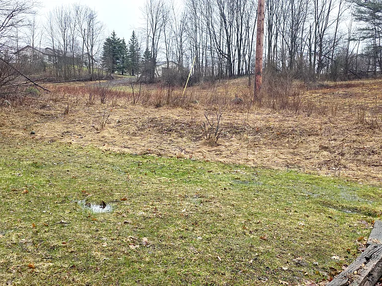 Yard Continued