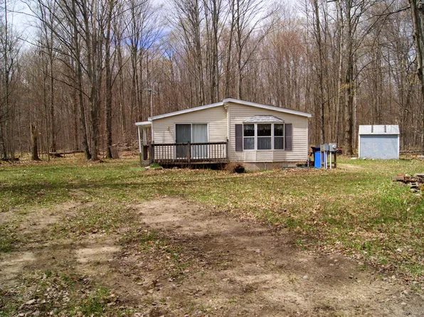 5804 N Donnybrook, Frederic, MI 49733