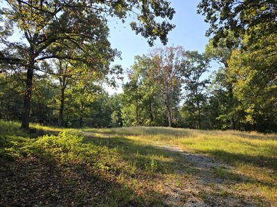 195 Cee Jay Ln, Sulphur Rock, AR, 72579