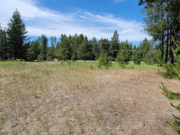 51 Pine Hill Rd, Newport, WA 99156