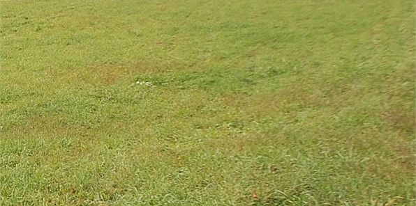 1st image of Brush Mtn. Farms