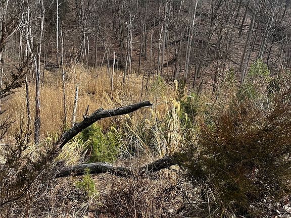 3rd image of 6589 Hathaway Rd