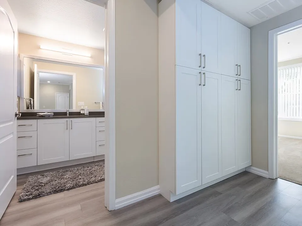 Upgraded Apartment Home Hall Storage and Bath