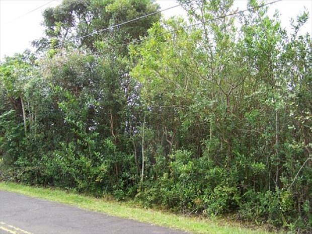 2nd image of 20 Wawai Pl
