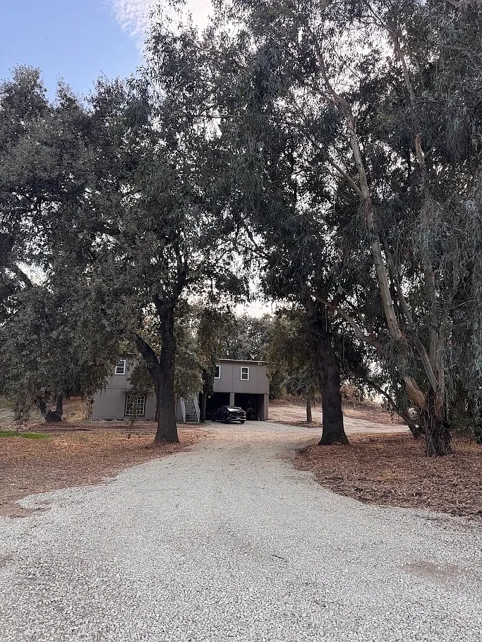 2 bed, 850 sqft, $1,550 — Photo 3