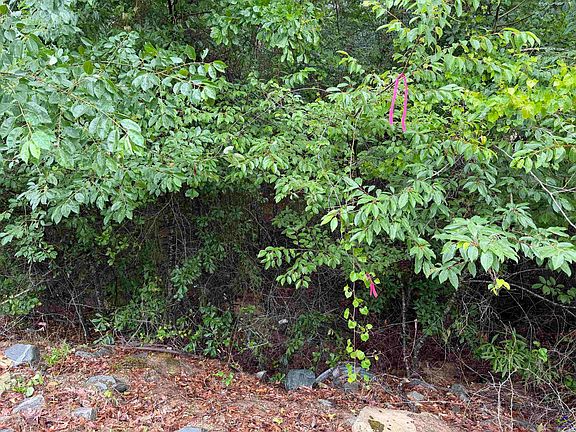 5th image of Jw Miller Rd