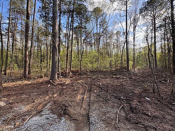 5th image of 1006 County Road 244