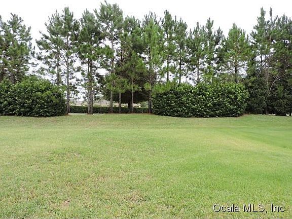 View of rear yard privacy