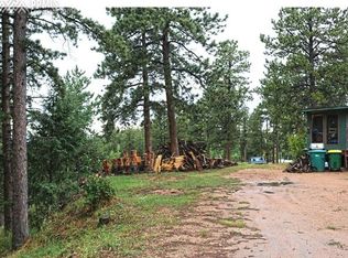 1167 Blossom Rd, Woodland Park, CO 80863
