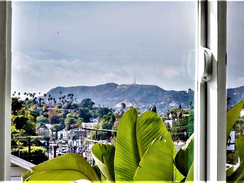 View of the Hollywood sign