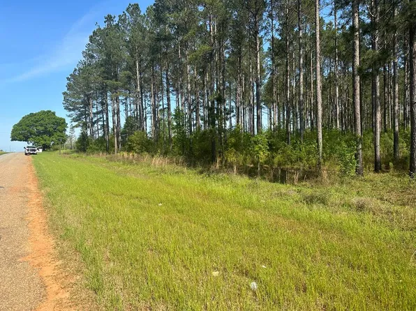 0 County Road 45, Hartford, AL 36344