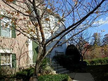 1st image of 12106 Green Ledge Ct APT 302
