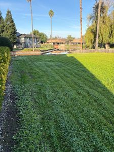 6 Lookout Ct, Sacramento, CA, 95831