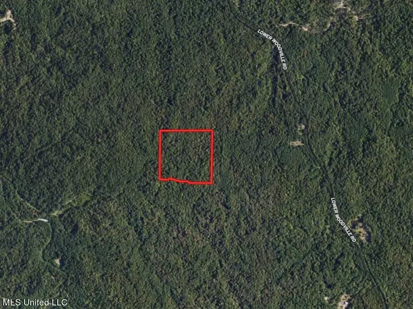 Lower Woodville Rd, Woodville, MS 39669
