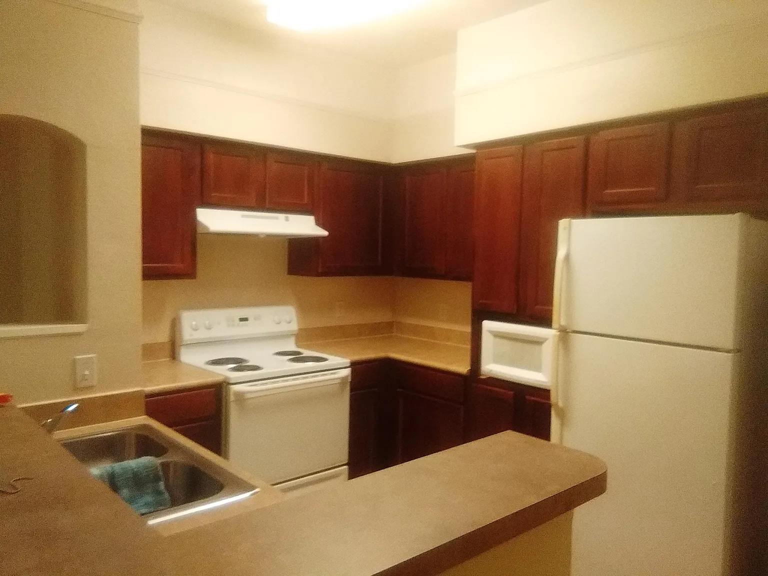 1 bed, 829 sqft, $1,350 — Photo 4