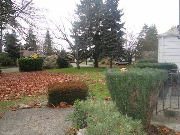 Next Door Yard