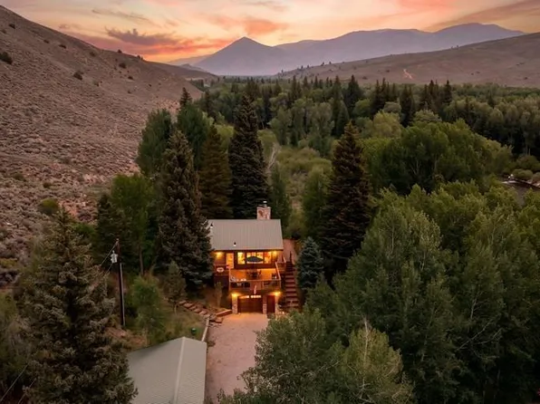 209 Deer Path Lane, Almont, CO 81230