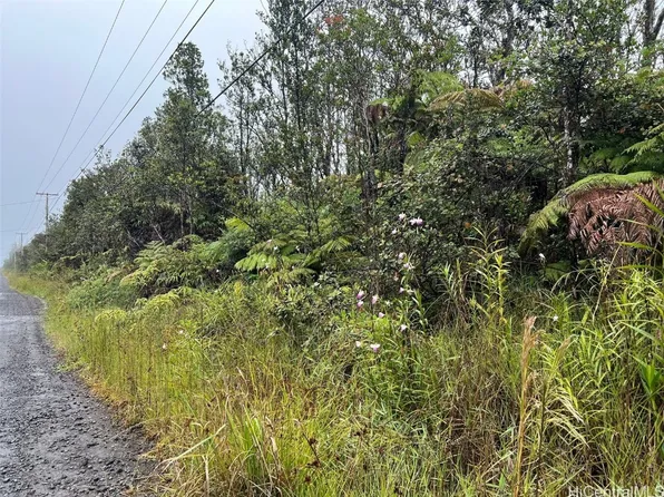 11-2862 Kaleponi Rd, Volcano, HI 96785