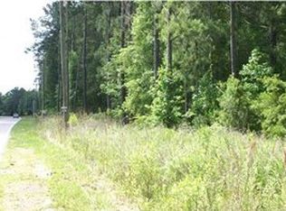 103 Clear Field Ct, Summerville, SC 29483