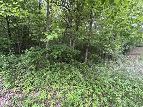 0 Hensley Rd Lot 4, Jamestown, TN 38556