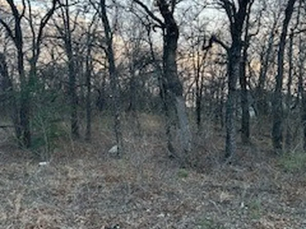 4 Haynie Dr, Bridgeport, TX 76426