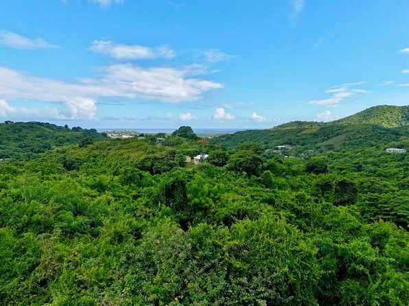 45 River PR, St. Croix, VI 00850