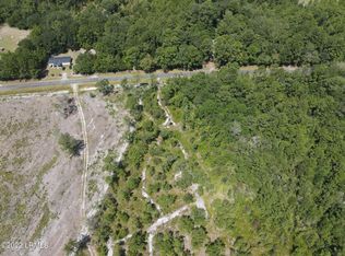 0 Hicksville Rd, Early Branch, SC 29916